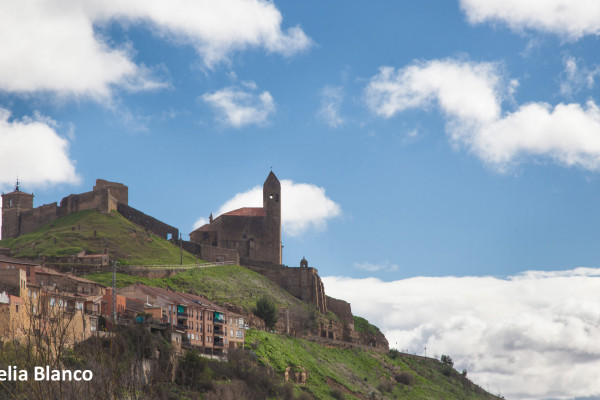 Panorámica del Castillo