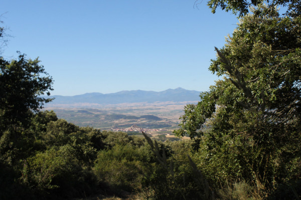 Fotografía desde el monte en la que se ve el valle con San Vicente al fondo. vegetación de ribera. Fotografía Javier Pangua Brea