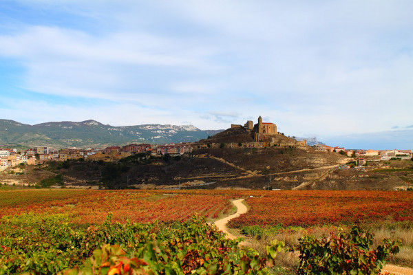 Fotografía en la que se ven los viñedos en otoño con colores ocres y dorados. Al fondo San Vicente de la Soniserra y la Sierra de Cantabria. Fotografía Amelia Blanco Mendoza
