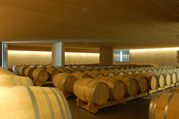 BODEGAS CONTADOR . VINOS DE BENJAMÍN ROMEO. NAVE DE CRIANZA