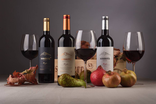 bodegas-sonsierra-16A795941-FEEB-6536-9D97-4727BF236A8A.jpg