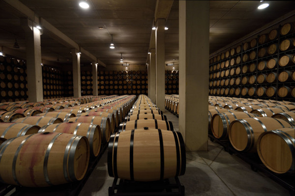 NAVE DE BARRICAS DE BODEGAS SONSIERRA