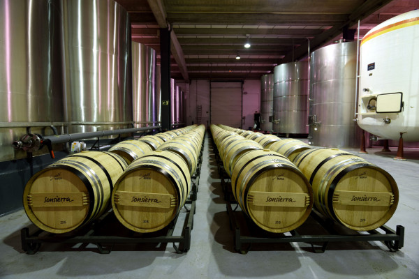 BARRICAS BODEGAS SONSIERRA