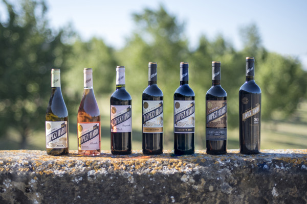 VINOS DE BODEGA CLASSICA 