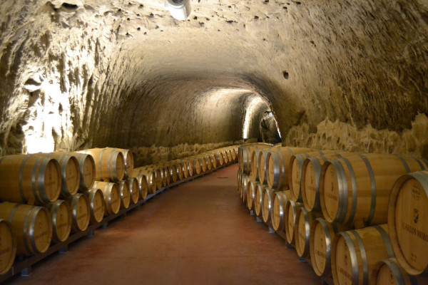 Calados interiores de Bodegas Carlos Moro