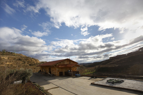 Exterior de BODEGAS CASTILLO DE MENDOZA