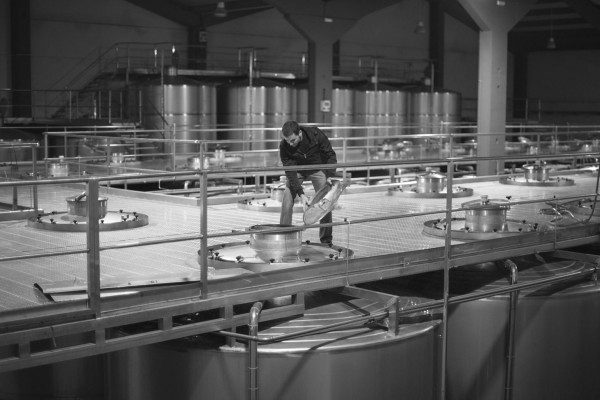 NAVE DE DEPÓSITOS DE BODEGA CLASSICA 