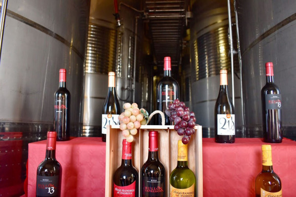 VINOS DE BODEGAS RAMÍREZ DE INORIZA