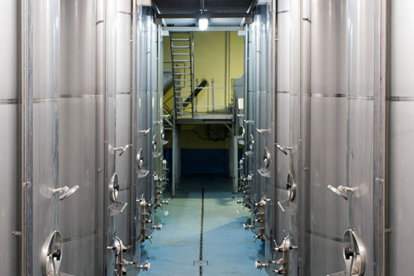 DEPÓSITOS DE BODEGAS OLMAZA