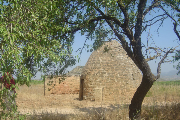 GUARDAVIÑAS DEL BOSQUE