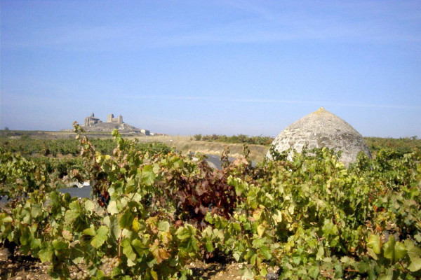GUARDAVIÑAS DEL BOMBÓN AL FONDO SAN VICENTE DE LA SONSIERRA