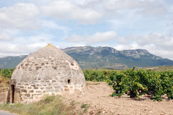 GUARDAVIÑAS DEL BOMBÓN AL FONDO LA SIERRA DE CANTABRIA