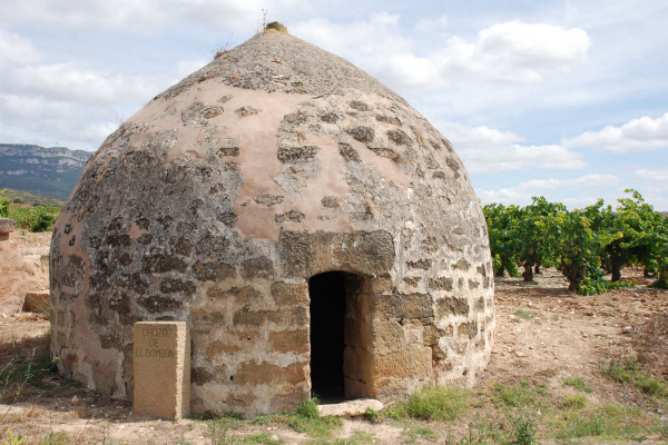 GUARDAVIÑAS DEL BOMBÓN