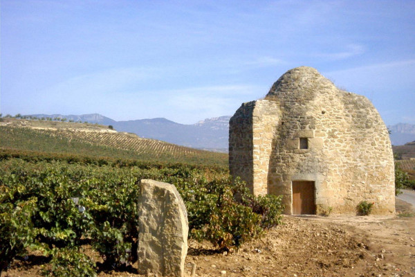 GUARDAVIÑAS DE LAS ESPINILLAS