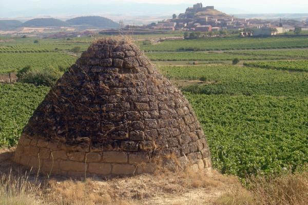 GUARDAVIÑAS DE HORNILLO CON SAN VICENTE AL FONDO