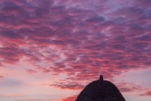 GUARDAVIÑAS DE LA RAD