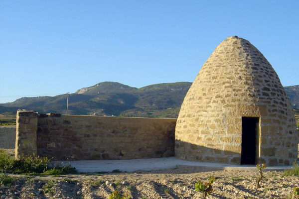 GUARDAVIÑAS DE LA RAD