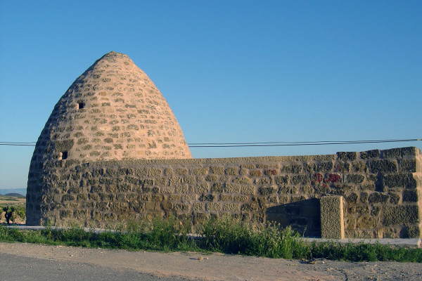 GUARDAVIÑAS DE LA RAD