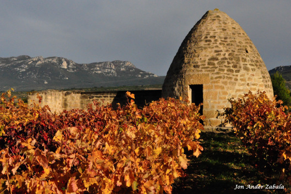 GUARDAVIÑAS DE LA RAD