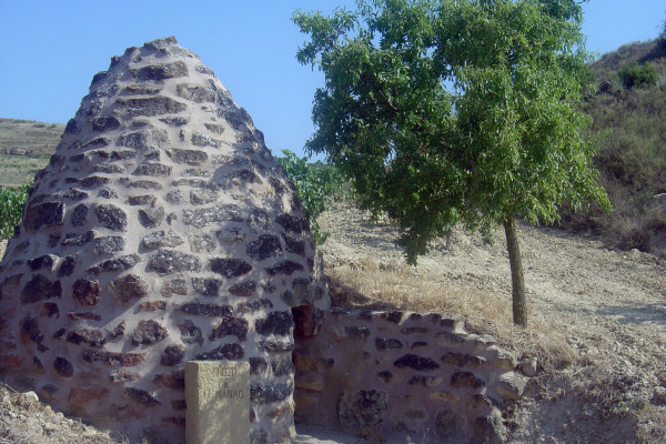 GUARDAVIÑAS DEL MANAO