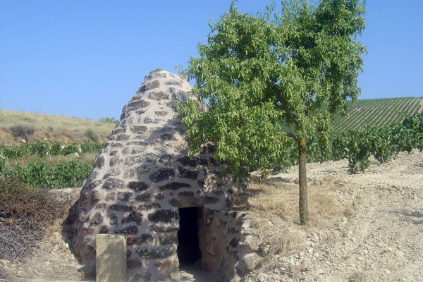 GUARDAVIÑAS DEL MANAO