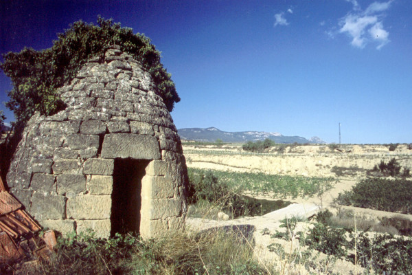 GUARDAVIÑAS DE LA PALOMERA