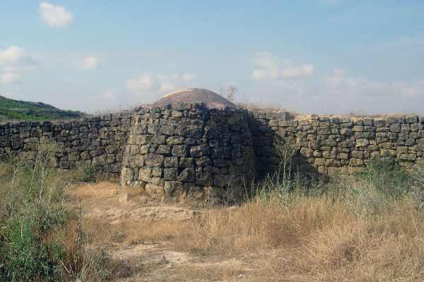 GUARDAVIÑAS DE PANGUA