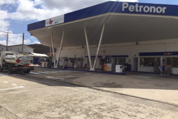 ESTACIÓN DE SERVICIO VIRGEN DE LOS REMEDIOS