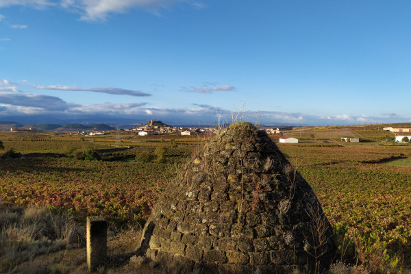 otono-mirador-1306A1AD5-8779-CE0F-F50D-7940AA1D93D3.jpg