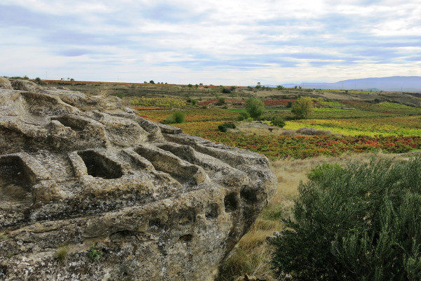 otono-mirador-147A4A477-7427-E30B-EFA5-A5B1FA290B90.jpg