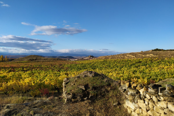 otono-mirador-25C9C98EA-717B-D58D-07D2-B27F133C3093.jpg
