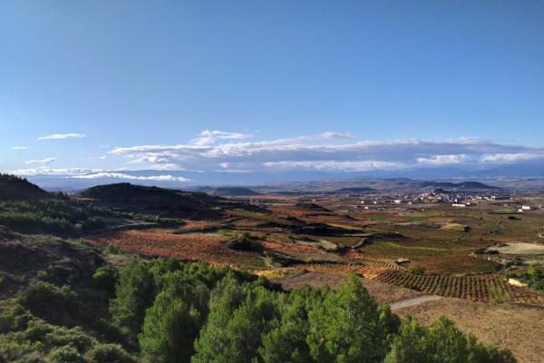 otono-mirador-48F663BBF-FFD6-199B-19E3-A50F7C925B4D.jpg