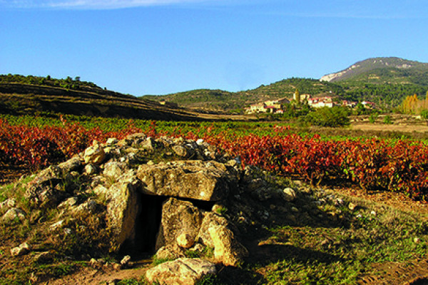 otono-santa-maria-19113034D-D3F7-7C2F-A70C-059FD39524D2.jpg