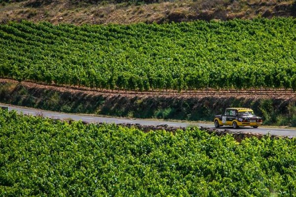 Coche de rally entre viñedos en San Vicente de la Sonsierra